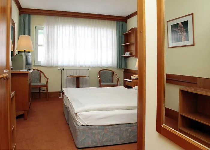 Szepalma שיופוק